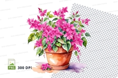 Clipart png of pink bougainvillea in a terracotta pot Product Image 1