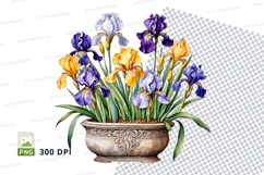 Watercolor iris bouquet in vase clipart png Product Image 1