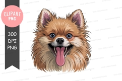 Happy pomeranian puppy clipart png Product Image 1
