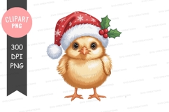 Christmas chick clipart png Product Image 1