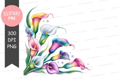 Colorful calla lilies clipart png Product Image 1