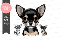 Three chihuahua puppies clipart png Product Image 1