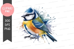 Vibrant blue tit bird clipart png Product Image 1