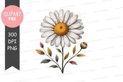 White daisy flower clipart png Product Image 1