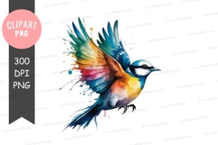 Colorful bird in flight clipart png Product Image 1