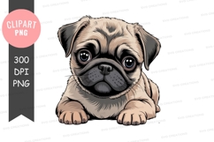Adorable pug puppy clipart png Product Image 1