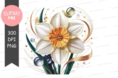 Elegant white daffodil with golden accents png Product Image 1