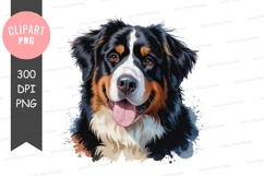 Happy bernese mountain dog Product Image 1