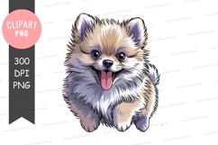 Happy pomeranian puppy clipart png Product Image 1
