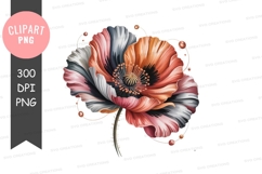 Vibrant poppy flower clipart png Product Image 1