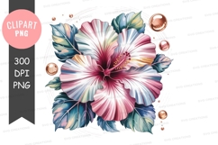 Vibrant tropical hibiscus flower Product Image 1