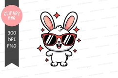 Cool bunny with sunglasses Product Image 1