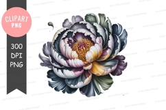Elegant floral clipart png Product Image 1