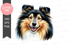 Happy shetland sheepdog clipart png Product Image 1