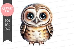 Cute owl clipart png Product Image 1