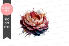 Vibrant peony flower clipart png Product Image 1