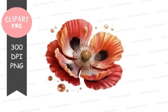 Vibrant poppy flower clipart png Product Image 1