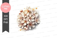 Delicate cherry blossoms clipart png Product Image 1