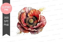 Vibrant poppy flower clipart png Product Image 1
