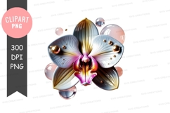 Orchid flower with bubbles clipart png Product Image 1