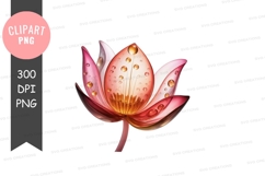 Lotus flower with dew drops Product Image 1