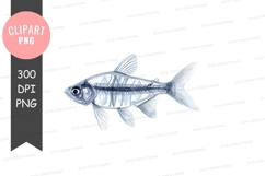 Transparent fish clipart png Product Image 1