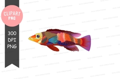 Colorful fish clipart png Product Image 1
