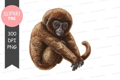 Curious brown monkey clipart png Product Image 1