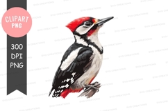 Woodpecker clipart png Product Image 1