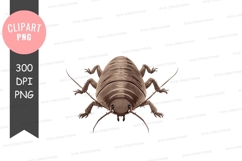 Brown cockroach clipart png Product Image 1