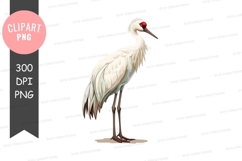 Elegant crane clipart png Product Image 1