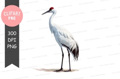 Graceful crane clipart png Product Image 1