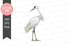Graceful crane clipart png Product Image 1