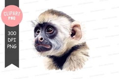 Curious monkey clipart png Product Image 1