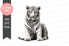 Young tiger clipart png Product Image 1