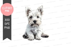 Cute west highland white terrier puppy Product Image 1