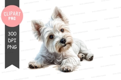 Cute west highland white terrier puppy Product Image 1