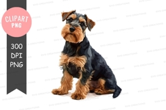 Portrait of a schnauzer Product Image 1