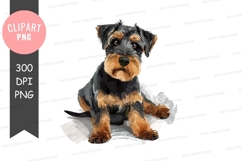 Cute yorkshire terrier puppy sitting Product Image 1