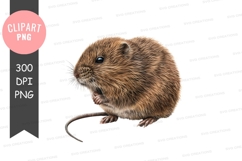 Brown mouse clipart png Product Image 1