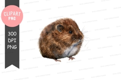 Brown mouse clipart png Product Image 1