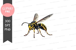 Wasp clipart png Product Image 1