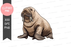 Walrus clipart png Product Image 1