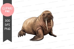 Walrus clipart png Product Image 1