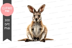 Kangaroo clipart png Product Image 1