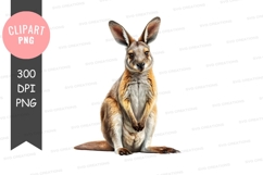 Kangaroo clipart png Product Image 1