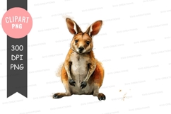 Kangaroo clipart png Product Image 1