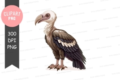 White-headed vulture clipart png Product Image 1