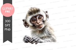 Cute baby monkey clipart png Product Image 1