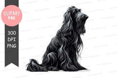 Afghan hound clipart png Product Image 1
